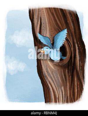 Bluebird dans un arbre Banque D'Images