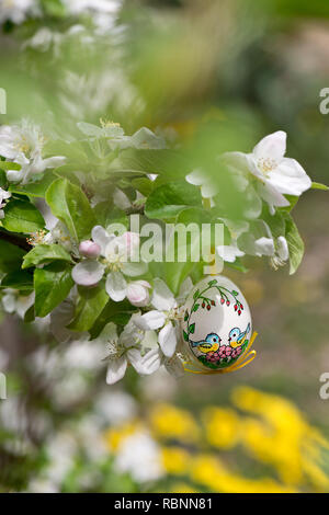 Egss Pâques pendaison sur le rameau de pommier dans le jardin Banque D'Images