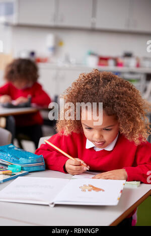 Close up of mixed race lycéenne assise à 24 dans une petite école de dessin en classe, vertical Banque D'Images