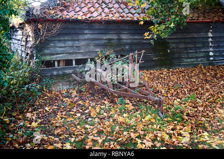 Une vieille charrue rouille à côté d'une grange avec un trou dans le côté avec des feuilles sur le terrain dans la campagne anglaise durant la saison de l'automne Banque D'Images