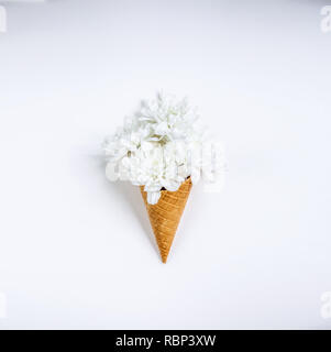 Belle fleur unique dans ice cream cone sur fond blanc. Arrangement de fleurs, une télévision jeter le style. Vue d'en haut. La vie toujours créative idée de printemps. peint Banque D'Images