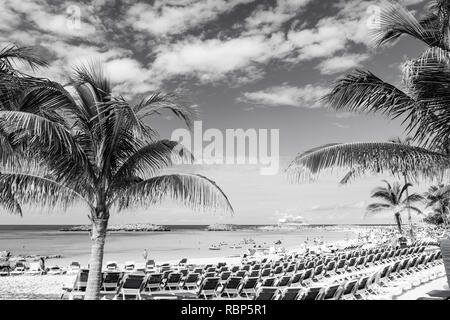 Great Stirrup Cay, Bahamas - janvier 08, 2016 : mer plage, personnes, chaises, vert palmiers aux beaux jours. Les vacances d'été, des vacances, se détendre. Voyage Voyage Voyage Voyage aventure Découverte Banque D'Images
