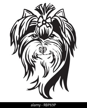 Portrait de décoration de chien Yorkshire Terrier, vector illustration isolé en couleur noir sur fond blanc. Droit pour la conception et de tatouage. Illustration de Vecteur