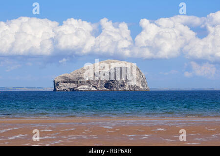 Le Bass Rock à partir de la plage de Seacliff, près de North Berwick, East Lothian, Scotland Banque D'Images