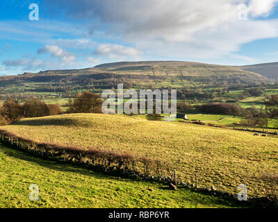 Vue sur Bishopdale vers Pen Hill près de Thoralby Angleterre Yorkshire Dales Banque D'Images