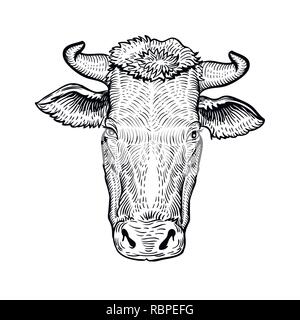 Tête de vache, dans un style graphique illustration dessiné à la main. Cow isolé sur fond blanc Illustration de Vecteur