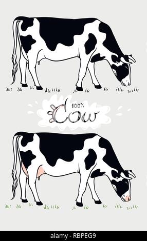 Vache. Vache mange de l'herbe. Isolé de la vache, ensemble d'éléments Illustration de Vecteur