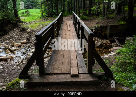 Pont de bois dans la forêt Banque D'Images