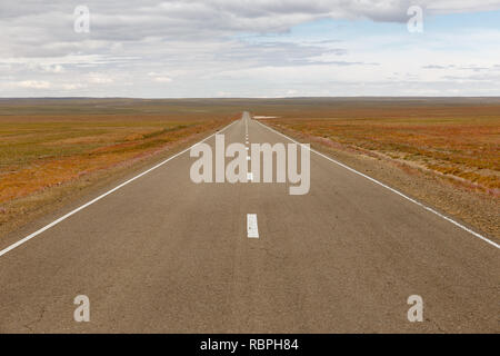 Route asphaltée Zamiin-Uud Sainshand en Mongolie Banque D'Images