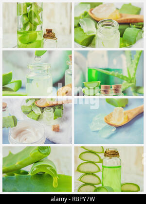 Collage extrait d'Aloe Vera dans une petite bouteille et pièces sur la table. Banque D'Images