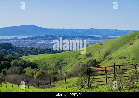 Vue vers Richmond de Wildcat Canyon Regional Park, à l'est la baie de San Francisco, comté de Contra Costa, le comté de Marin en Californie, l'arrière-plan Banque D'Images