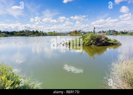 Île au milieu de lac Cunningham sur une journée ensoleillée, San Jose, San Francisco, Californie Banque D'Images