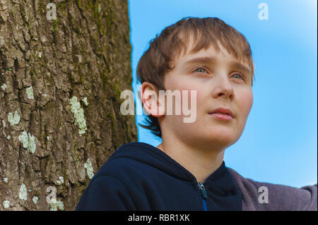 Portrait d'un jeune garçon dans un arbre vêtu d'un sweat-shirt bleu. Banque D'Images