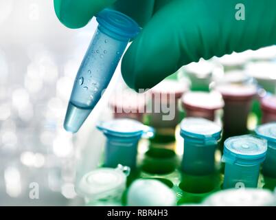 Scientist holding un tube Eppendorf contenant un échantillon biologique. Banque D'Images