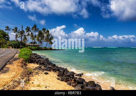 Route près de l'océan et de palmiers à Kualoa, Oahu, Hawaii Banque D'Images