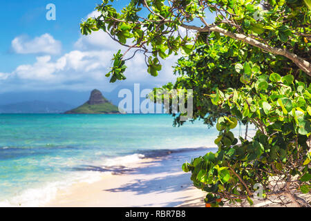 Mokoli'i Island (anciennement connu sous le nom de « Chinaman's Hat ») vue sur l'île et belle eau turquoise à la plage de Kualoa, Oahu, Hawaii Banque D'Images