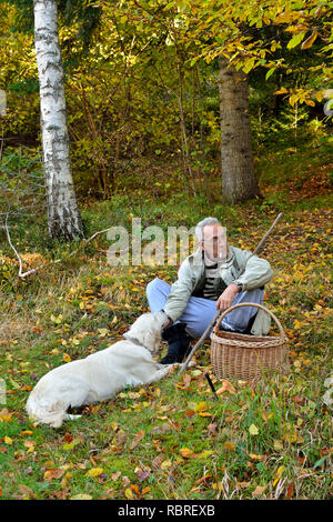 Vieux, vital l'homme et son golden retriever dog sitting on grass et avoir repos au cours de la cueillette des champignons en forêt d'automne Banque D'Images