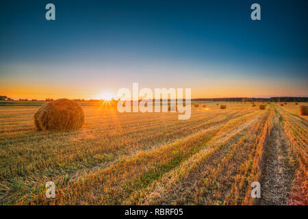 Paysage rural Domaine prairie avec des balles de foin au cours de soirée ensoleillée à la fin de l'été. Meules de foin à la lumière du soleil d'été au lever du soleil. Grand Soleil à l'horizon. Banque D'Images