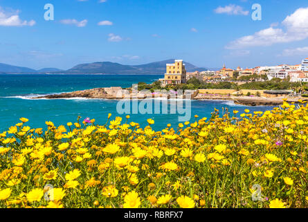 Côtes de la Méditerranée dans la ville d'Alghero, Sardaigne, Italie. Les fleurs du printemps et les arbres sur le premier plan, les bâtiments colorés du vieux centre-ville d'Alghero sur bac Banque D'Images