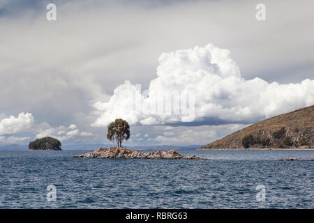 Un seul arbre de la gomme d'Australie trône fièrement sur une petite île de la surface de rupture rock Lake Titicaca sous un nuage réflexion de la même forme. Banque D'Images