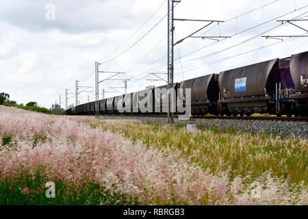 TRAIN DE CHARBON DU QUEENSLAND QUI TRANSITENT PAR PAYS Banque D'Images