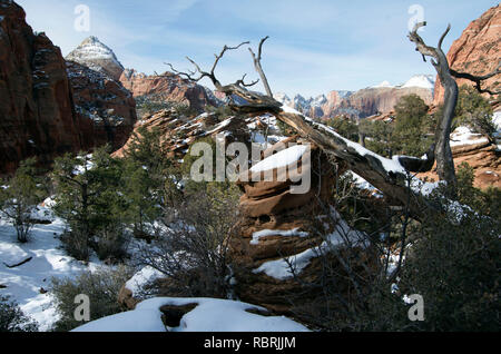 Le sentier jusqu'à Canyon Overlook dans Zion National Park est à 1,6 km aller-retour. Il a forte dropoffs et plusieurs mains courantes. Banque D'Images