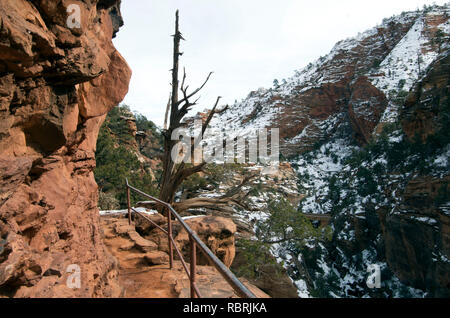 Le sentier jusqu'à Canyon Overlook dans Zion National Park est à 1,6 km aller-retour. Il a forte dropoffs et plusieurs mains courantes. Banque D'Images