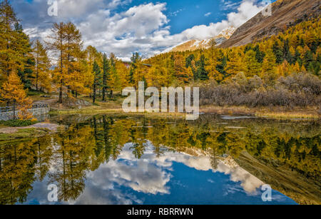 Montagnes des Dolomites, paysage d'automne dans la vallée de la tour Martello, dans le Tyrol du Sud dans le Parc National du Stelvio, Alpes, Italie du nord, l'Europe. Banque D'Images