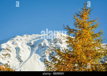 Montagnes des Dolomites, paysage d'automne dans la vallée de la tour Martello, dans le Tyrol du Sud dans le Parc National du Stelvio, Alpes, Italie du nord, l'Europe. Banque D'Images