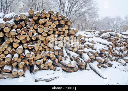 Bois de chauffage dans un entrepôt d'hiver qui a couvert la neige. Banque D'Images