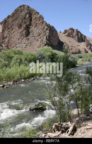 Une rivière traverse un paysage désertique, aride, entouré par la végétation florissante dans l'ouest des États-Unis Banque D'Images