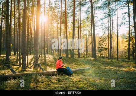 Jeunes adultes actifs Belle Caucasian Girl Woman dressed in Red Jacket reposant assis sur Smartphone à l'aide d'arbre tombé et en automne Coucher du soleil vert pour Banque D'Images