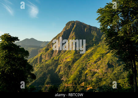 Peu d'Adams Peak, Ella, Sri Lanka lite jusqu'à la lumière d'or pendant le lever du soleil. Banque D'Images