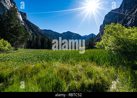 Sunburst Meadow Banque D'Images