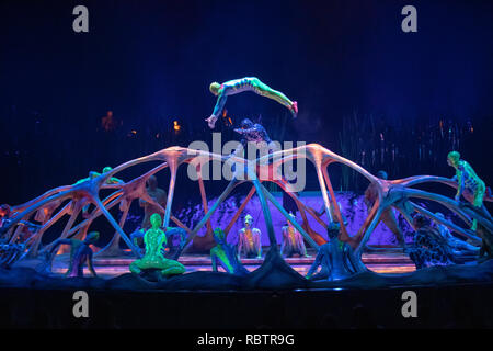 Londres, Angleterre. 11 Janvier 201, les acteurs du Cirque du Soleil effectuer dans 'Le Cirque Du Soleil's Totem' répétition générale au Royal Albert Hall, Angleterre, © Jason Richardson / Alamy Live News Banque D'Images
