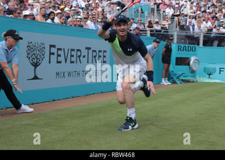 Andy Murray jouer au Queen's Club, Fever Tree Championships 2018. Du coup droit sur la course. Andy Murray vs Nick Krygios, Queens club Fever Tree Championships juin 2018. Murray's première sortie concurrentiel après chirurgie de la hanche. Il a perdu le match en trois sets et a pris sa retraite de Wimbledon quelques semaines plus tard. Banque D'Images