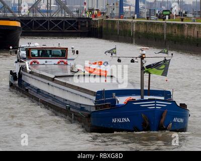 Afalina (navire, 1957) ENI 06001712 Port d'Anvers Pic1. Banque D'Images