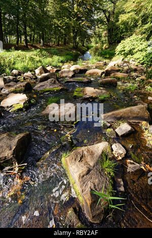 Une petite rivière coule à faible niveau d'eau entre les grosses pierres, dans l'arrière-plan, haute, beau temps - Emplacement : Allemagne, Brandebourg, Schradenlan Banque D'Images