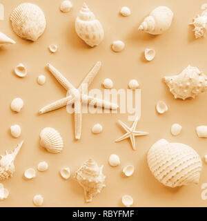 Vue du dessus de l'ensemble des coquillages sur un fond de couleur. L'été, maison de vacances,voyage idées concept Banque D'Images
