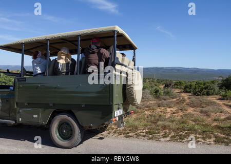 Les touristes sur un jeu dur à Addo Elephant National Park Banque D'Images