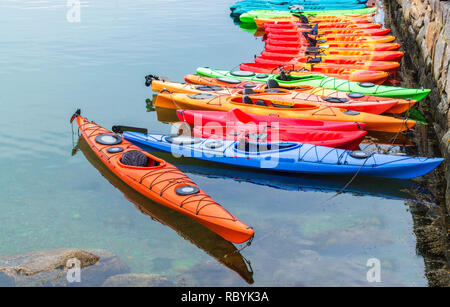 Une rangée de kayaks à louer colorés attachés dans l'eau le long d'un mur de pierre dans le Massachusetts Banque D'Images