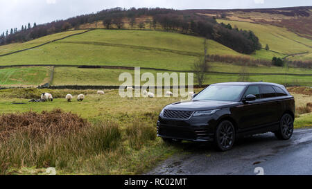 SUV dans les highlands écossais entouré de troupeau de moutons Banque D'Images