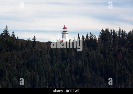 Le phare du cap Gaspé (phare de Cap-Gaspé) à Cap Gaspé dans le parc national de Forillon en Gaspésie Peninsual de Québec, Canada. Banque D'Images