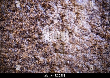 Mur de granit beige cave humide avec la texture de fond. vignette, géologique. Banque D'Images