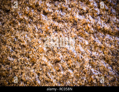 Mur de granit beige cave humide avec la texture de fond. vignette, géologique. Banque D'Images