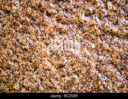 Grotte humide mur de granit beige texture. Contexte, géologique. Banque D'Images