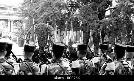 STRASBOURG, FRANCE - Le 8 mai 2017 : Cérémonie militaire au groupe des alliés de l'Ouest Deux victoire en Europe de l'armistice marquant le 72e anniversaire de la victoire sur l'Allemagne nazie en 1945 - drapeaux français Banque D'Images