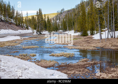 Rivière Firehole près de Upper Geyser Basin, dans le Parc National de Yellowstone, Wyoming, USA Banque D'Images