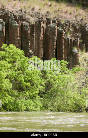 La rhyolite est une roche ignée. Les structures sont appelées colonnes de jointoiement. Vu fromSnake River dans le Hells Canyon National Recreation Area. Banque D'Images