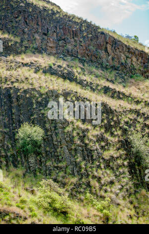 La rhyolite est une roche ignée. Les structures sont appelées colonnes de jointoiement. Vu fromSnake River dans le Hells Canyon National Recreation Area. Banque D'Images